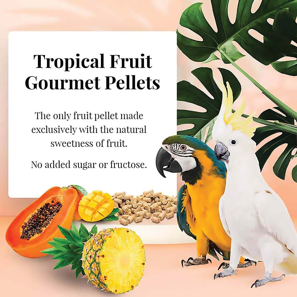 Lafeber Gourmet Pellets Tropical Fruit 1.8kg Complete Large Parrot Food 3
